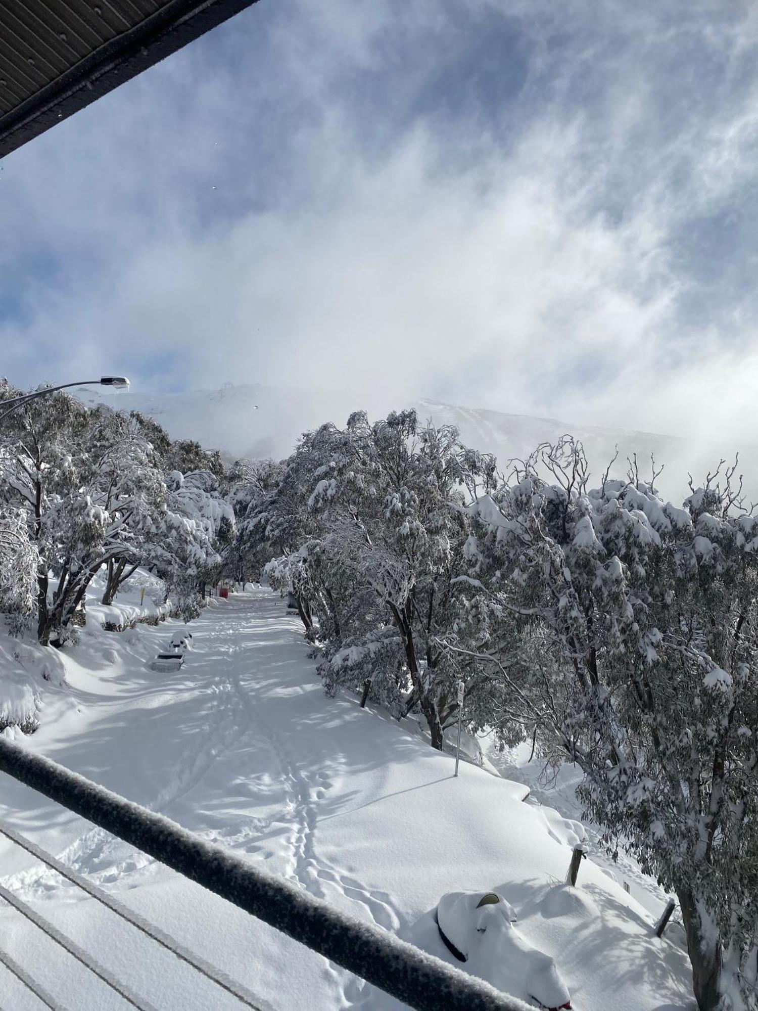 Alpine Woodsmoke Apartments Falls Creek Exteriör bild